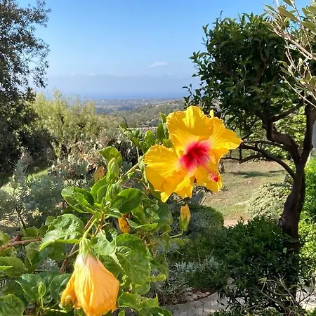 Quartarella - La Bellezza Nel Silenzio - Piscina Casa vacanze Michelica