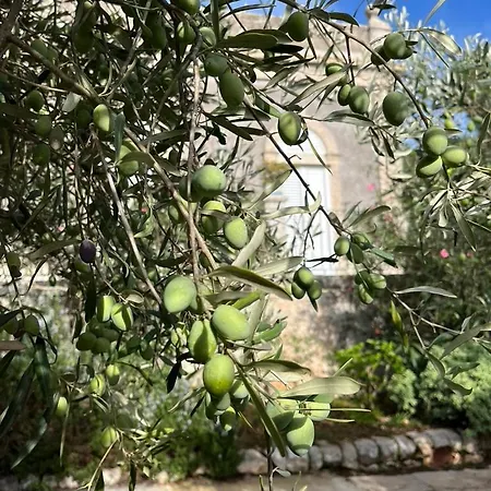 Quartarella - La Bellezza Nel Silenzio - Piscina Casa vacanze Michelica